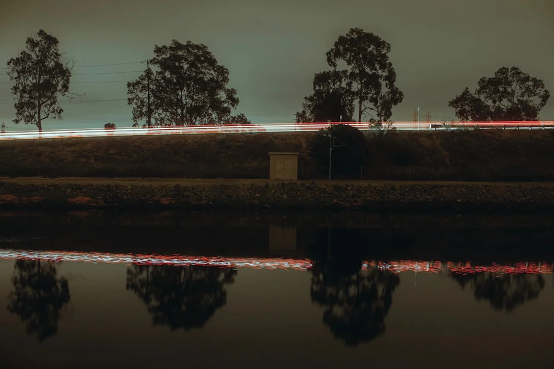 dream meaning food What Does It Mean to Dream About Food? chinese metaphysics illustration zen style