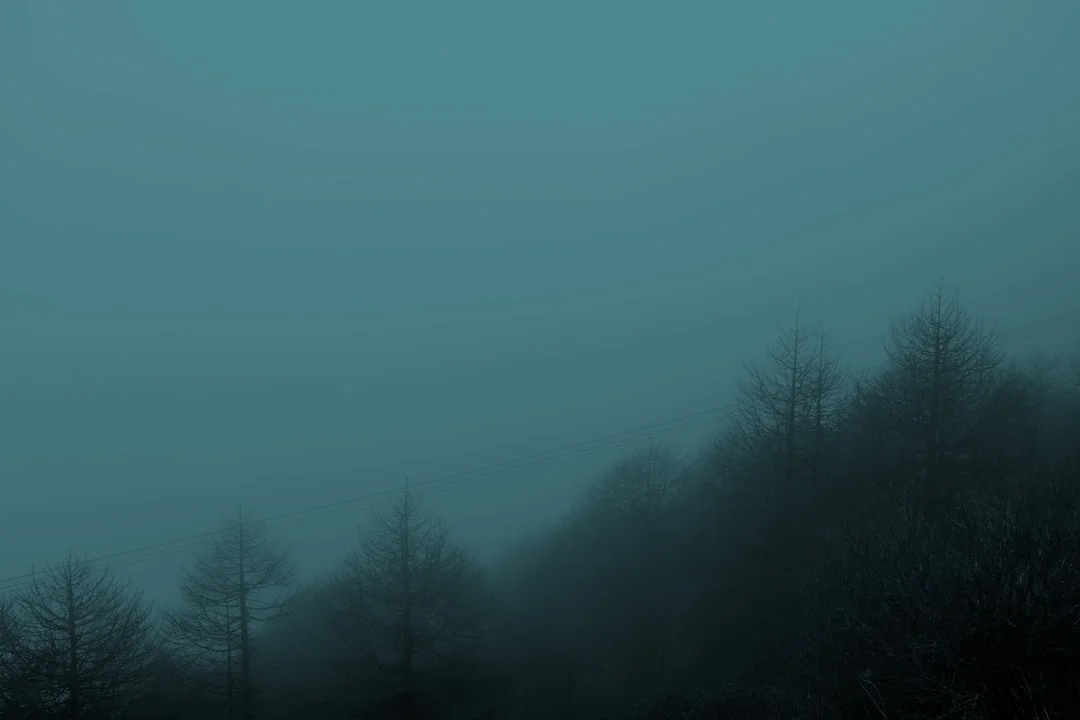 perros amigables sueño significado Sueños de Perros Amigables: Significado y Interpretación chinese metaphysics illustration zen style