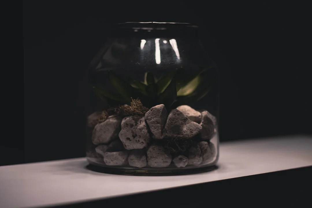 soñar con amigos Sueños de amigos: desbloqueando el significado oculto chinese metaphysics illustration zen style