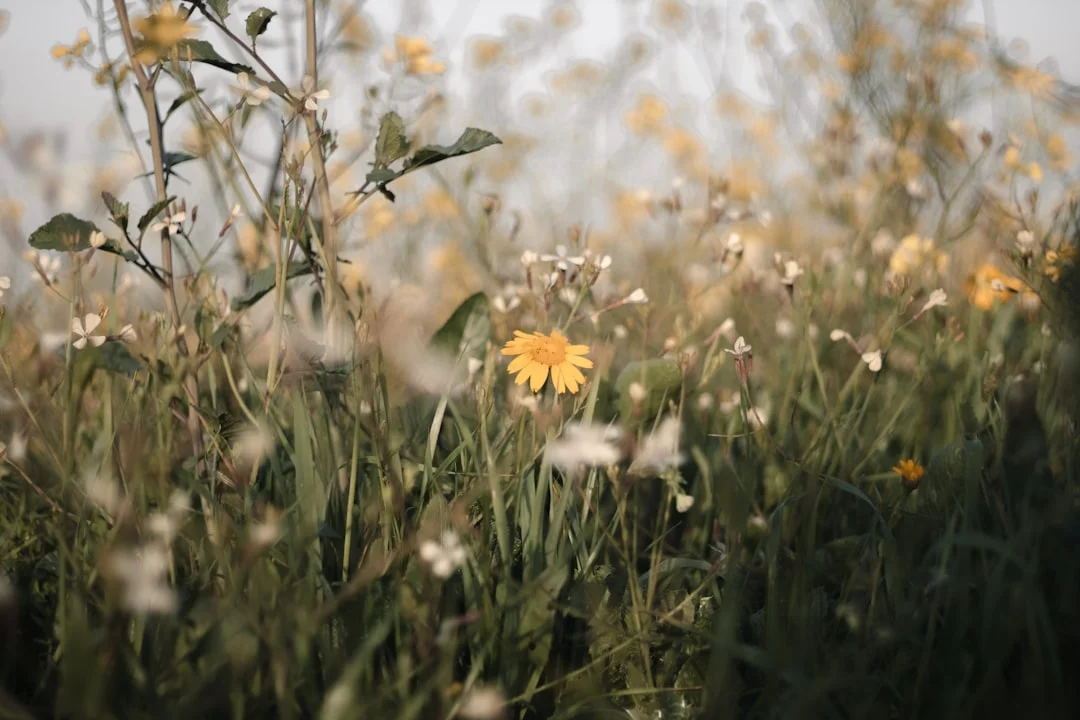 soñar con amigos Sueños de amigos: desbloqueando el significado oculto chinese metaphysics illustration abstract energy