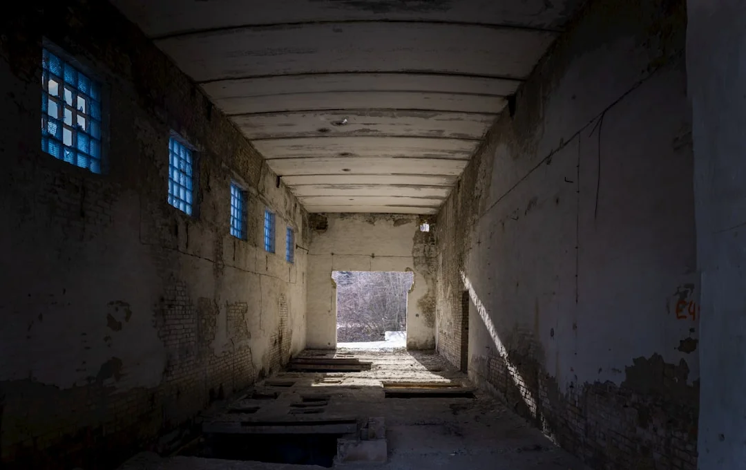 dreaming of ghosts What Does It Mean to Dream About Ghosts? chinese metaphysics illustration zen style