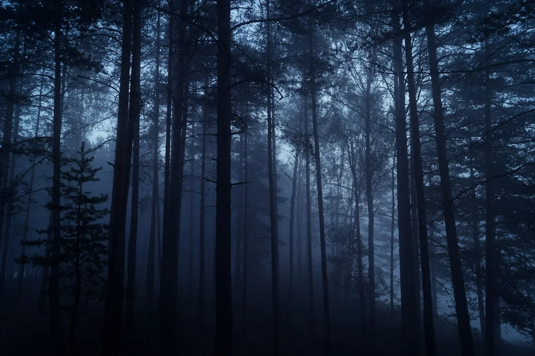 dreaming of ghosts What Does It Mean to Dream About Ghosts? chinese metaphysics illustration abstract energy