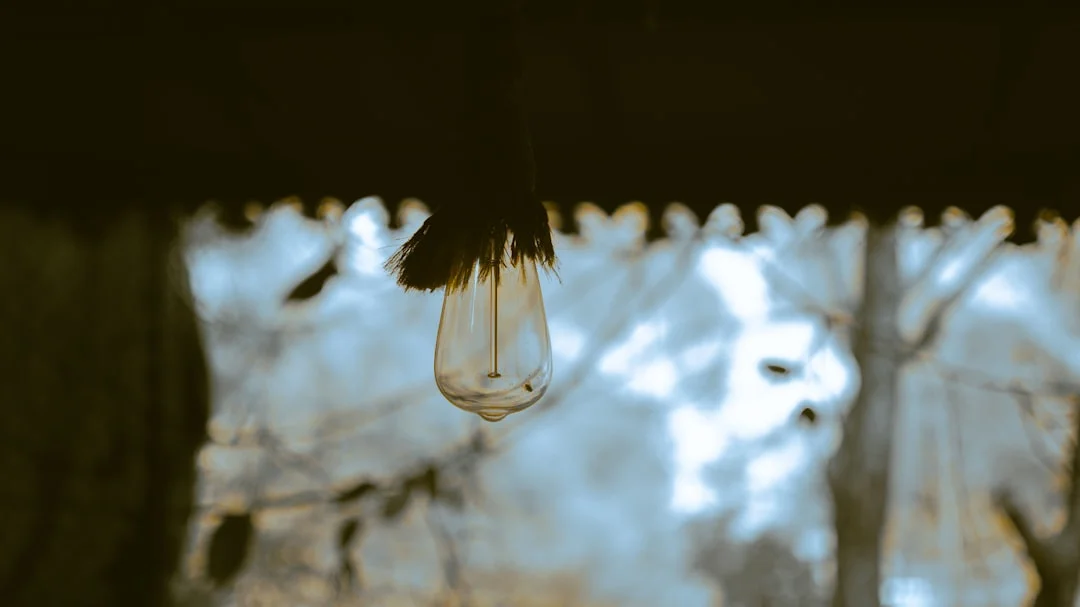 significado de la rana verde en los sueños Significado de la Rana Verde en los Sueños: Desvelar su Simbolismo chinese metaphysics illustration zen style