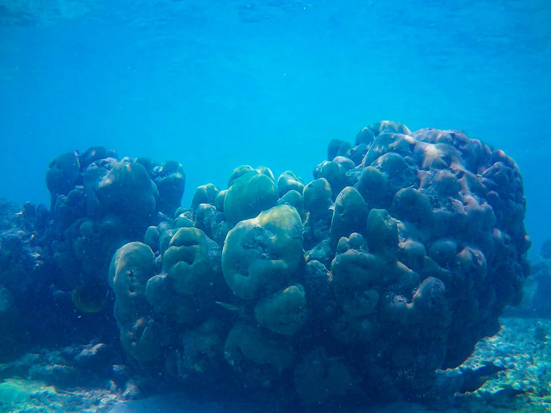 esconderse de alguien en sueños Esconderse de Alguien en Sueños: Desentrañando el Significado Oculto chinese metaphysics illustration abstract energy