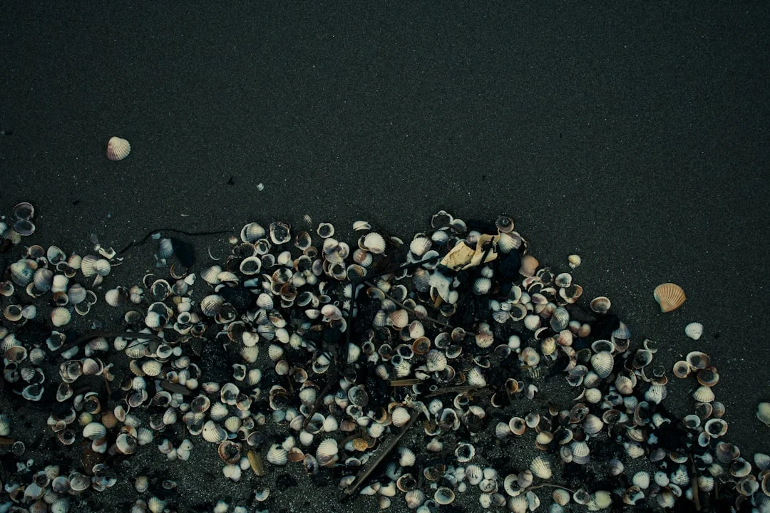 Dream About Houses What Does It Mean to Dream About Houses? chinese metaphysics illustration zen style