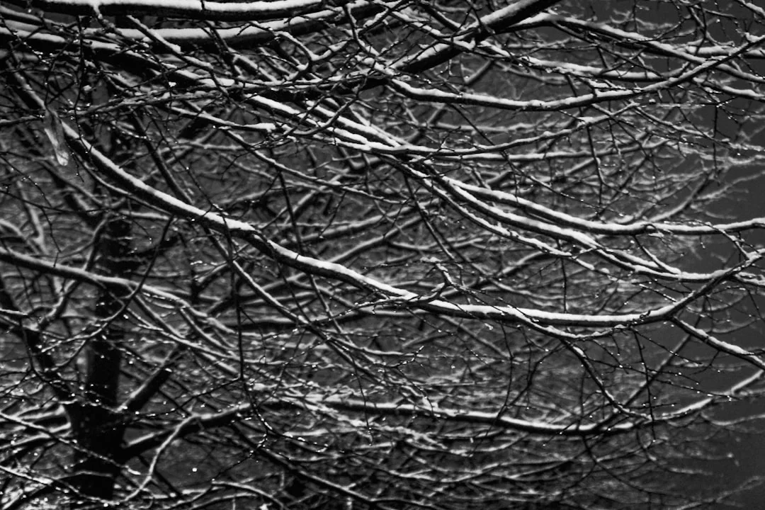 Significado de los Sueños de Guía Interna ¿Qué Significa Soñar con Guía Interna? chinese metaphysics illustration abstract energy