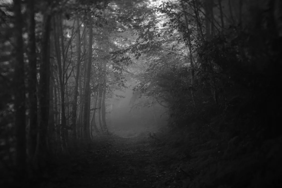 Dream About Killing a Snake What Does It Mean to Dream About Killing a Snake in a Dream? chinese metaphysics illustration zen style