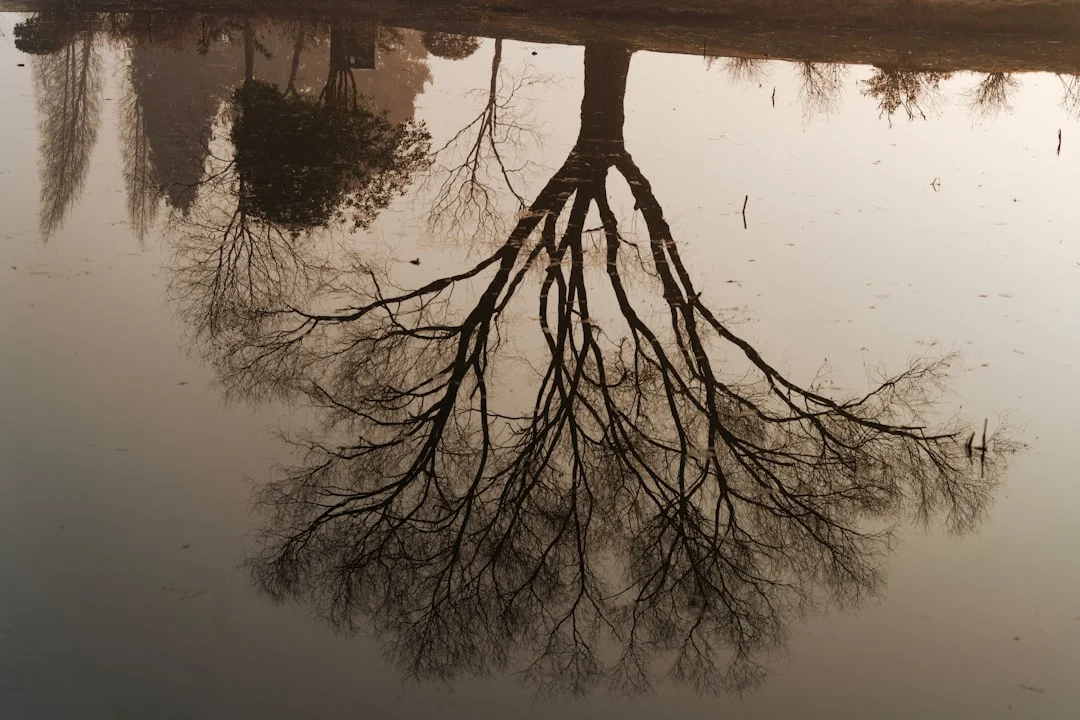 Sueño sobre Lagos ¿Qué Significa Soñar con Lagos? chinese metaphysics illustration zen style