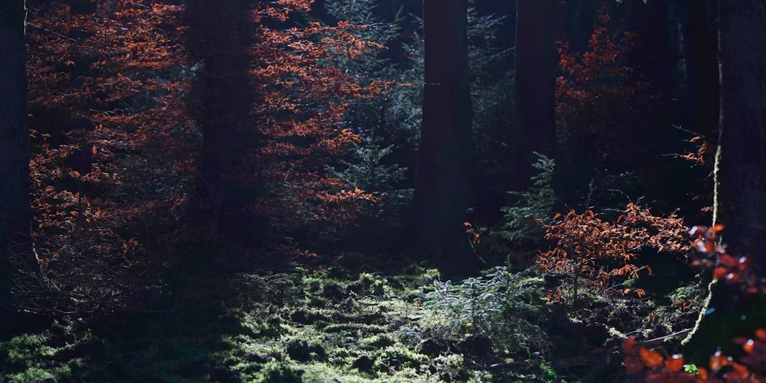 Significado de Sueños con Leones Significado de Sueños con Leones: Desbloqueando el Simbolismo y las Reflexiones Psicológicas chinese metaphysics illustration zen style