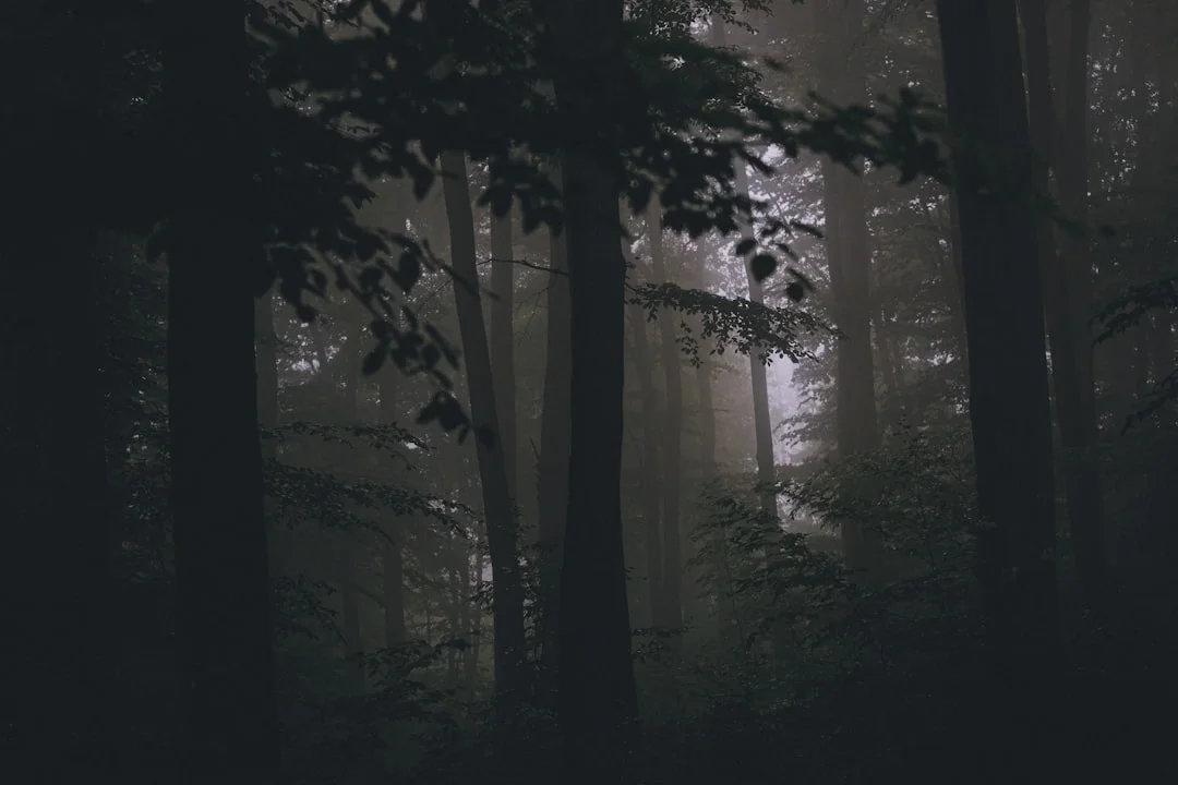 Significado de Sueños con Leones Significado de Sueños con Leones: Desbloqueando el Simbolismo y las Reflexiones Psicológicas chinese metaphysics illustration abstract energy