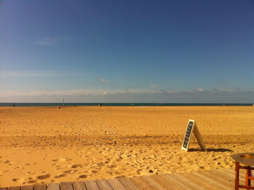 Perder dinero en los sueños ¿Qué significa perder dinero en los sueños? chinese metaphysics illustration abstract energy