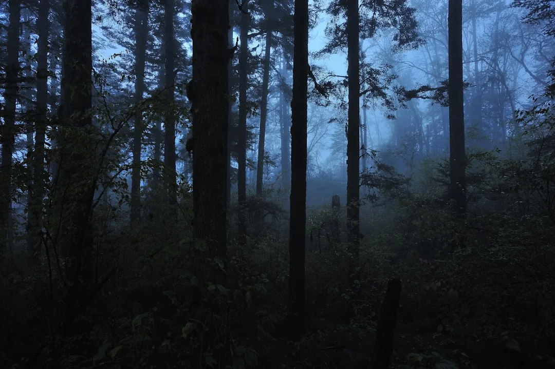 Dream About Lost Dogs What Does It Mean to Dream About Lost Dogs? chinese metaphysics illustration abstract energy