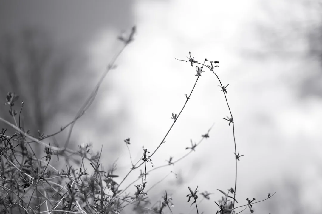 dream meaning monsters What Does It Mean to Dream About Monsters? chinese metaphysics illustration abstract energy