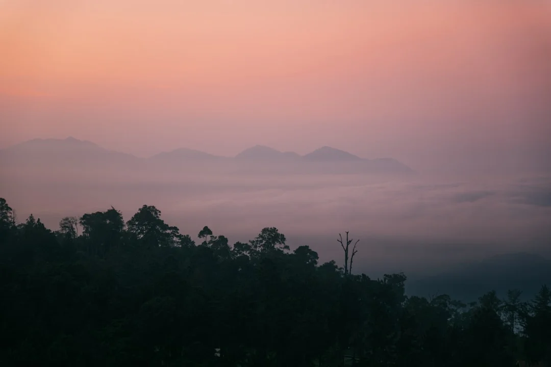 Símbolos misteriosos en los sueños ¿Qué significa soñar con símbolos misteriosos? chinese metaphysics illustration abstract energy