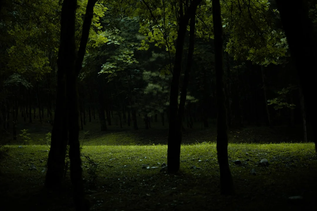 Pesadillas en Sueños ¿Qué significa soñar con pesadillas? chinese metaphysics illustration abstract energy