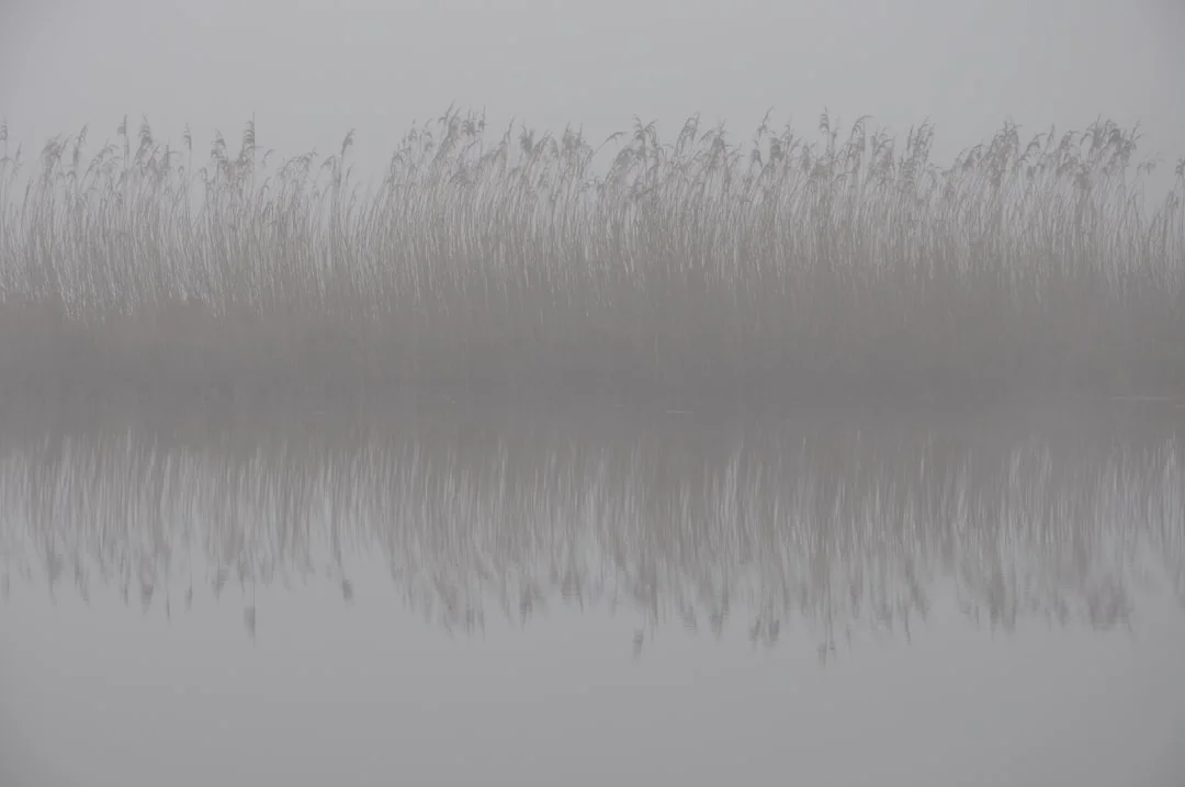 Soñar con casas antiguas ¿Qué significa soñar con casas antiguas? chinese metaphysics illustration zen style
