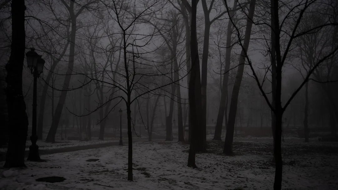 Dream About Opening Doors What Does It Mean to Dream About Opening Doors? chinese metaphysics illustration abstract energy