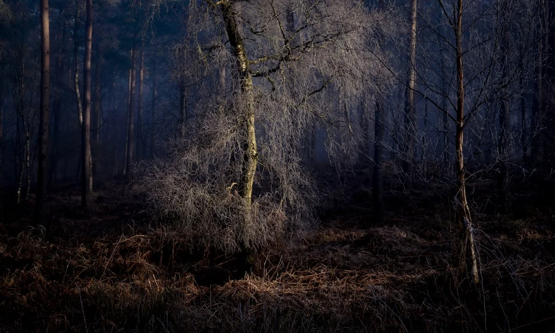 Vergüenza pública en los sueños La vergüenza pública en los sueños: Significado y interpretación chinese metaphysics illustration zen style