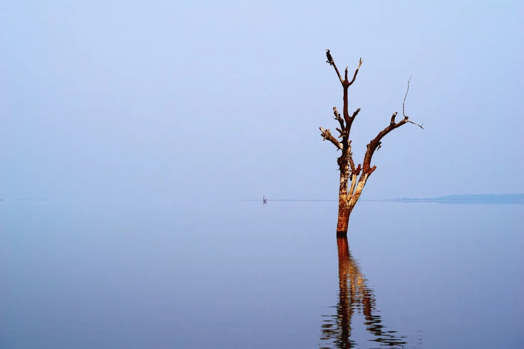 Vergüenza pública en los sueños La vergüenza pública en los sueños: Significado y interpretación chinese metaphysics illustration abstract energy