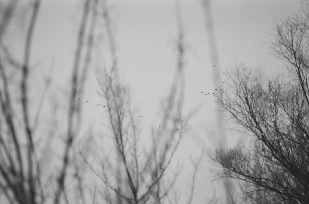 Dream About Pulling Out Teeth What Does It Mean to Dream About Pulling Out Teeth? chinese metaphysics illustration abstract energy