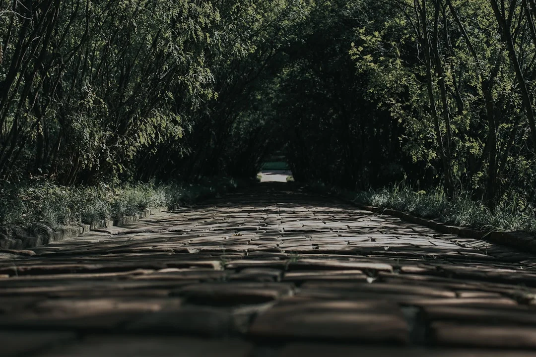 Sueño Con Carreteras Sueños de Carreteras: Desbloqueando el Significado del Viajar en Sueños chinese metaphysics illustration zen style