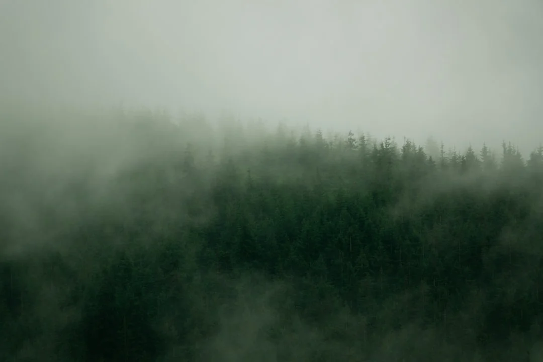 Soñar con correr Significado de los Sueños: ¿Qué Significa Soñar con Correr? chinese metaphysics illustration zen style