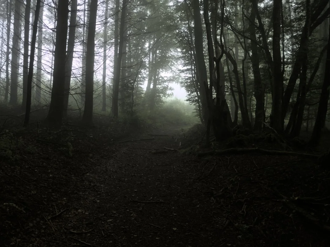 dream sharing food meaning What Does It Mean to Dream About Sharing Food? chinese metaphysics illustration zen style