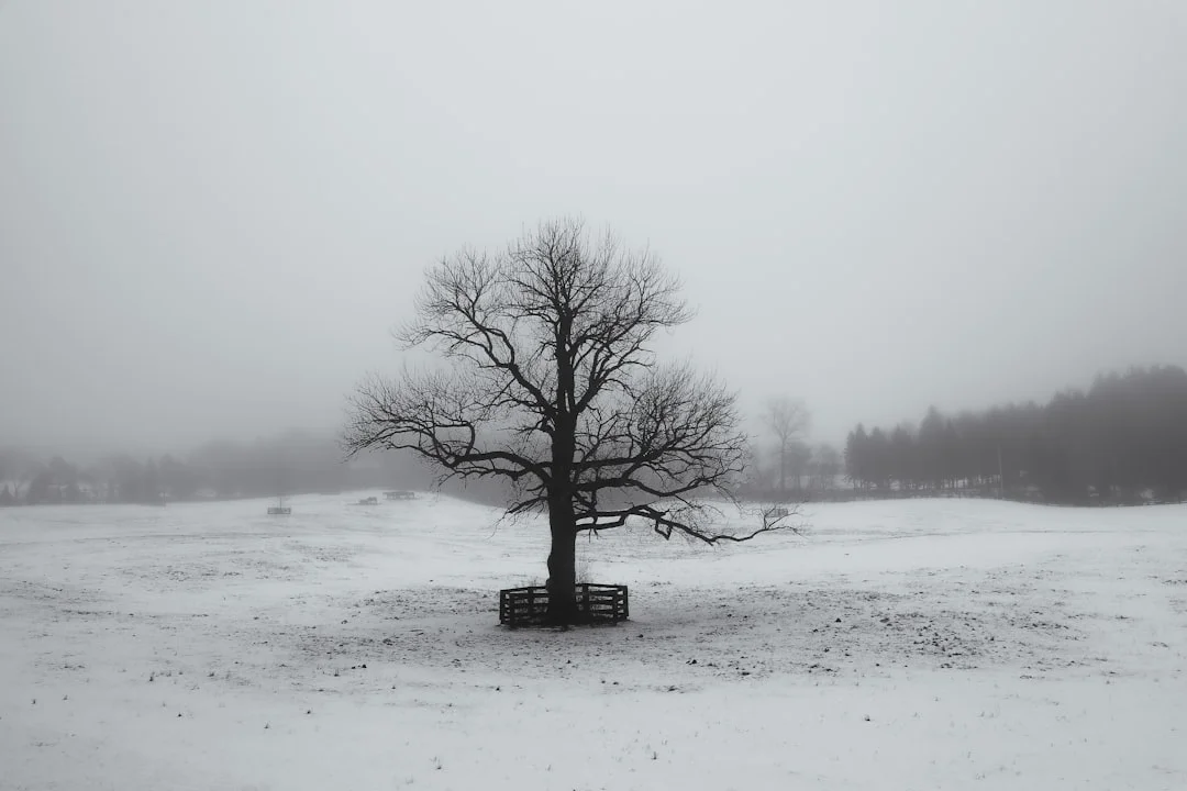 Dream about someone dying What Does It Mean to Dream About Someone Dying? chinese metaphysics illustration zen style