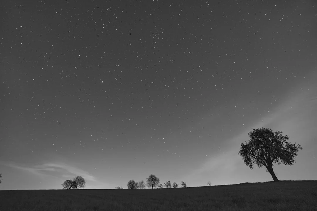 Sueño con Arañas Arañas en Sueños: Desentrañando Significados Ocultos chinese metaphysics illustration abstract energy