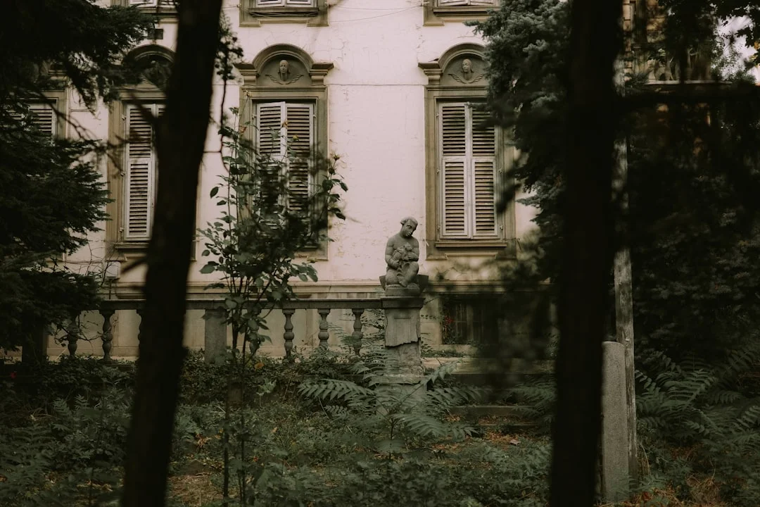 Dream About Spiders Crawling on You What Does It Mean to Dream About Spiders Crawling on You? chinese metaphysics illustration zen style