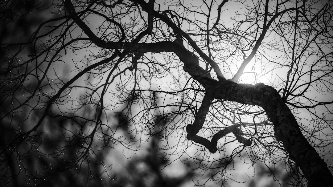 Dream About Spiders Crawling on You What Does It Mean to Dream About Spiders Crawling on You? chinese metaphysics illustration abstract energy