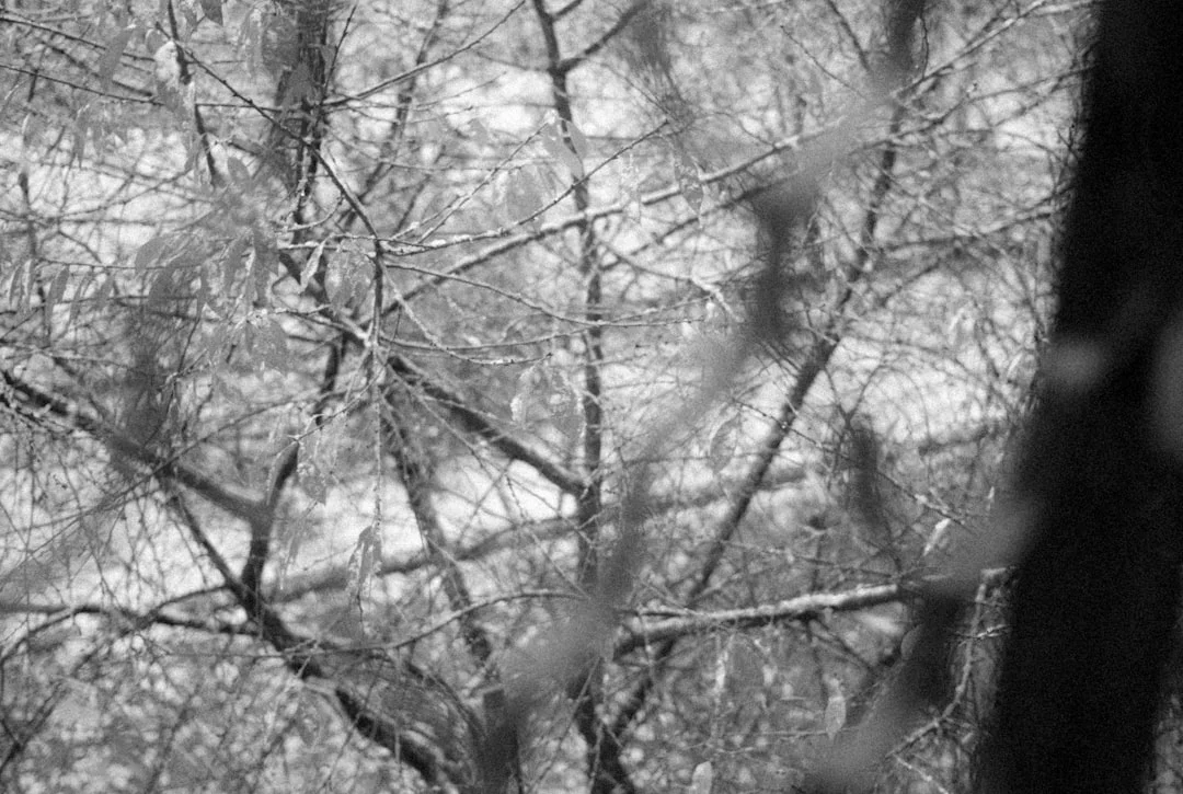 sueños de hambre ¿Qué significa soñar con estar hambriento? chinese metaphysics illustration zen style