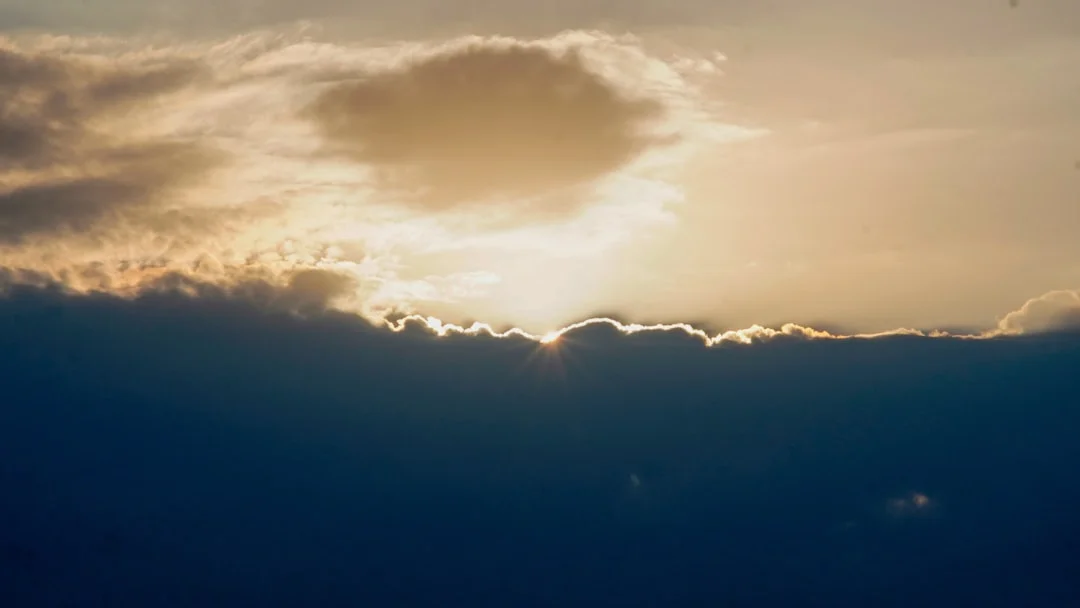 dream about struggling to fly What Does It Mean to Dream About Struggling to Fly? chinese metaphysics illustration zen style