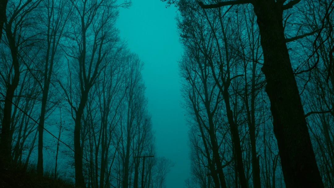 Dream About Superpowers What Does It Mean to Dream About Superpowers? chinese metaphysics illustration zen style