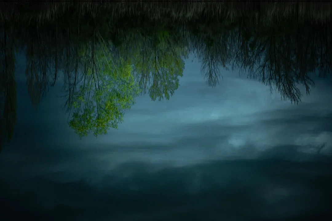 sobreviviendo sueños de inundación Sobreviviendo Sueños de Inundación: Su Significado y Por qué los Tienes chinese metaphysics illustration abstract energy