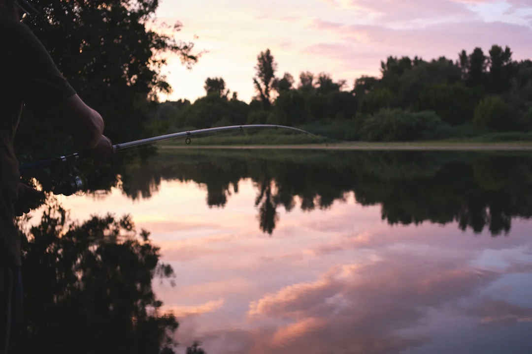Soñar con nadar con peces ¿Qué significa soñar con nadar con peces? chinese metaphysics illustration abstract energy