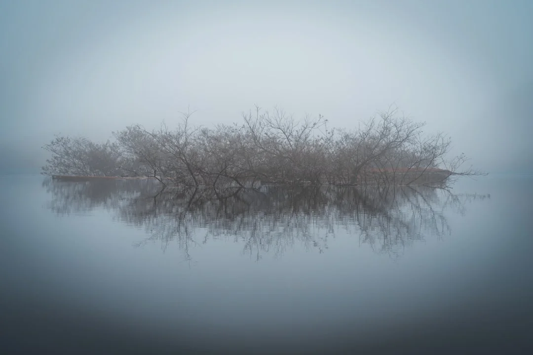 Dientes que se caen en los sueños ¿Qué significa soñar que se te caen los dientes? chinese metaphysics illustration zen style