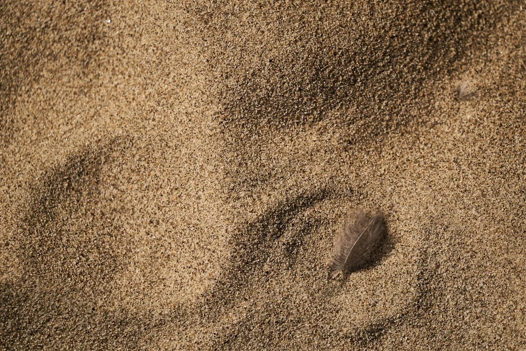 Dientes que se caen en los sueños ¿Qué significa soñar que se te caen los dientes? chinese metaphysics illustration abstract energy