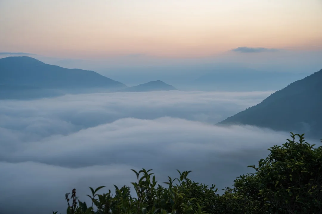 sueños de teletransportación Significado de los Sueños de Teletransportación: Desbloqueando el Simbolismo chinese metaphysics illustration zen style