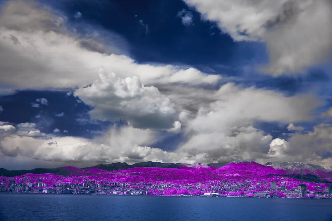 Sueño con el futuro ¿Qué significa soñar con el futuro? chinese metaphysics illustration zen style