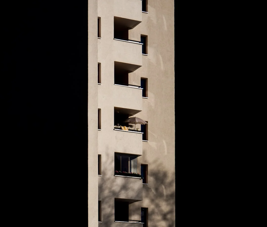 past life dreams What Does It Mean to Dream About the Past? chinese metaphysics illustration zen style