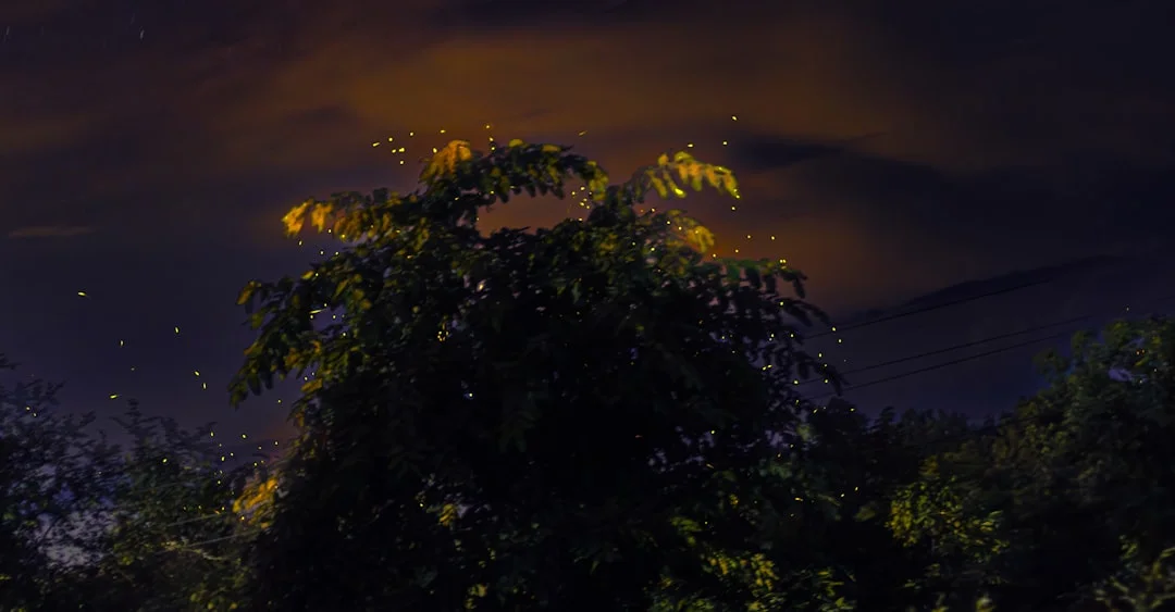 Significado del sueño con trueno Significado del Sueño con Trueno: Descubriendo el Simbolismo detrás de tus Sueños chinese metaphysics illustration zen style