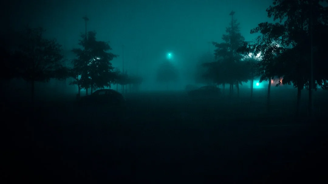 Soñar con tigres Desbloqueando el simbolismo de soñar con tigres chinese metaphysics illustration zen style