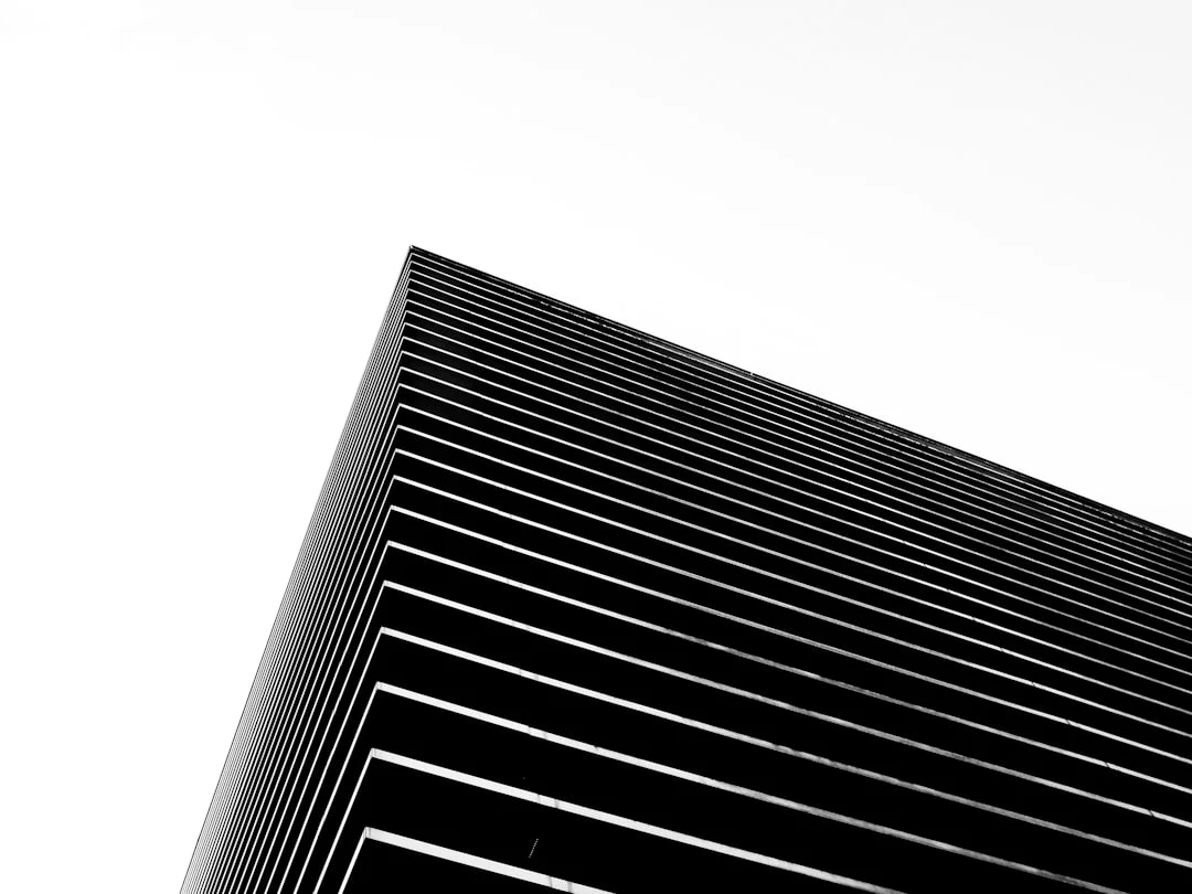 Sueños de transformación ¿Qué significa soñar con la transformación? chinese metaphysics illustration zen style