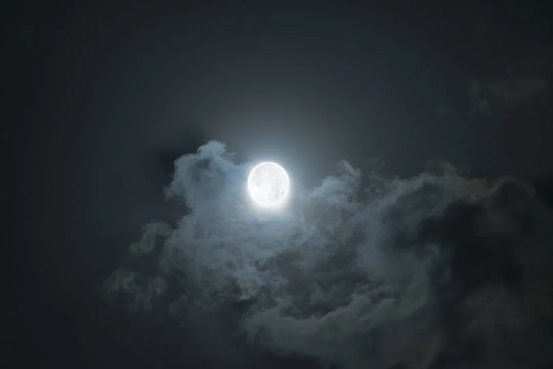 dream about wedding dresses What Does It Mean to Dream About Wedding Dresses? chinese metaphysics illustration zen style