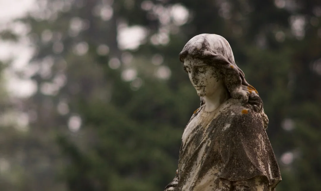 dream about weddings What Does It Mean to Dream About Weddings? chinese metaphysics illustration abstract energy