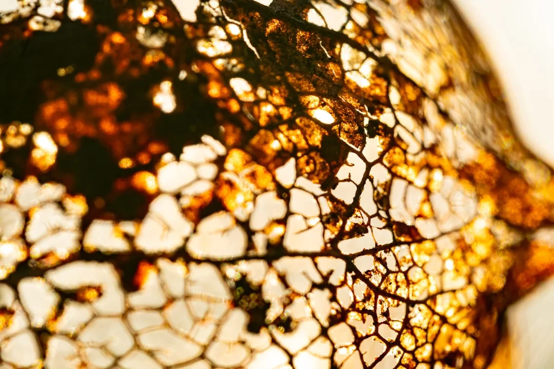 Sueños sobre Tu Propia Muerte Sueños sobre Tu Propia Muerte: Descubriendo el Significado chinese metaphysics illustration zen style