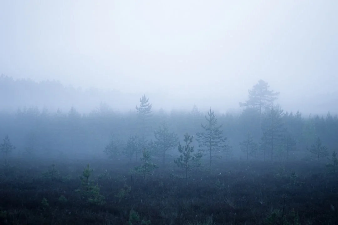 Why Do I Dream About Being Lost Why Do I Dream About Being Lost? chinese metaphysics illustration zen style