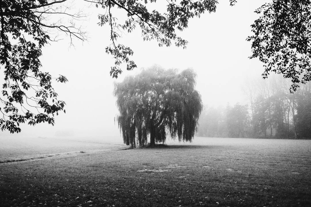 Why Do I Dream About Being Lost Why Do I Dream About Being Lost? chinese metaphysics illustration abstract energy