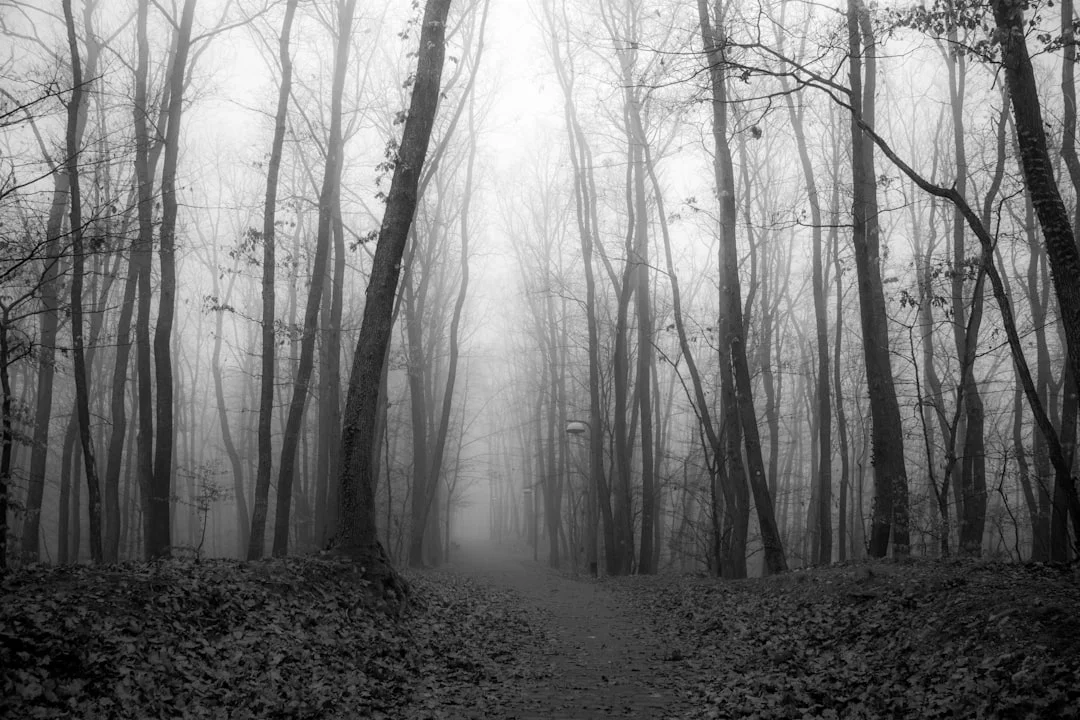 testing dreams Why Do I Dream About Being Tested? chinese metaphysics illustration abstract energy